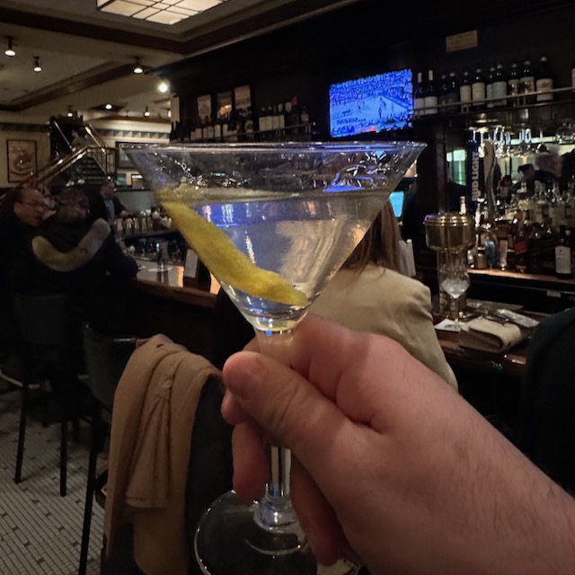 Classic Gin Martini